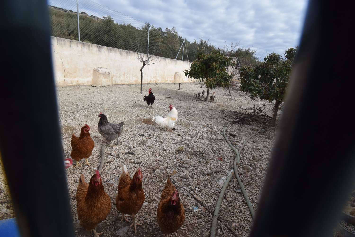 6 soveværelse Finca/Landehus til salg i Montefrio med swimmingpool - € 649.000 (Ref: 7857976)