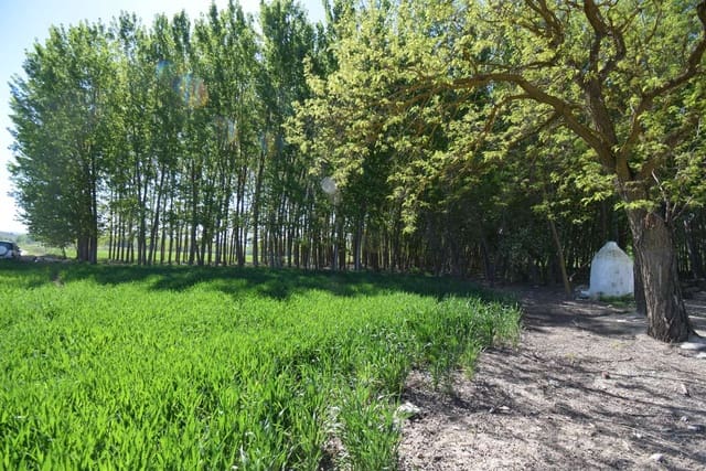 4 soveværelse Finca/Landehus til salg i Alcalá la Real - € 160.000 (Ref: 8249754)