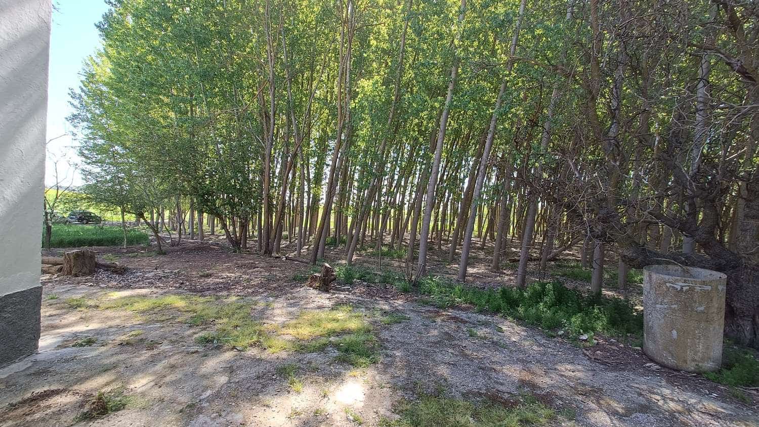 4 soveværelse Finca/Landehus til salg i Alcala la Real - € 160.000 (Ref: 8249754)