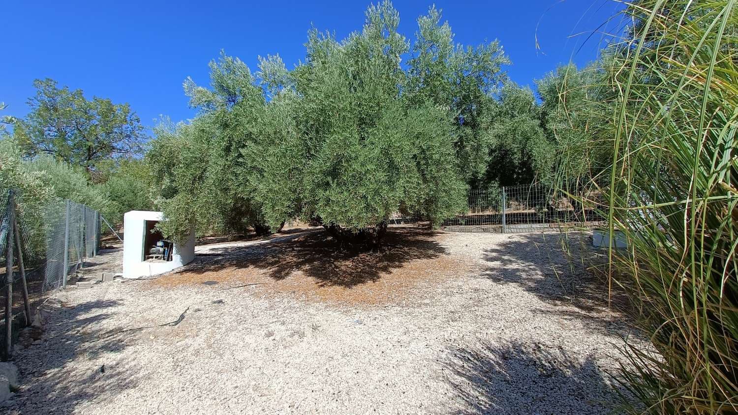 5 camera da letto Finca/Casa di Campagna in vendita in Montefrio con piscina - 210.000 € (Rif: 8480590)