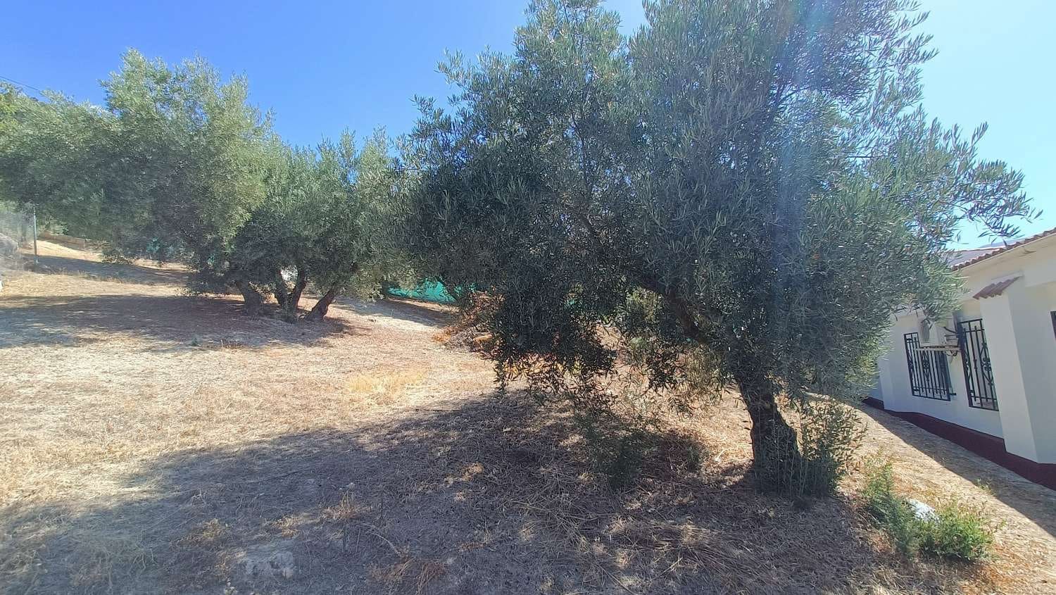 5 camera da letto Finca/Casa di Campagna in vendita in Montefrio con piscina - 210.000 € (Rif: 8480590)