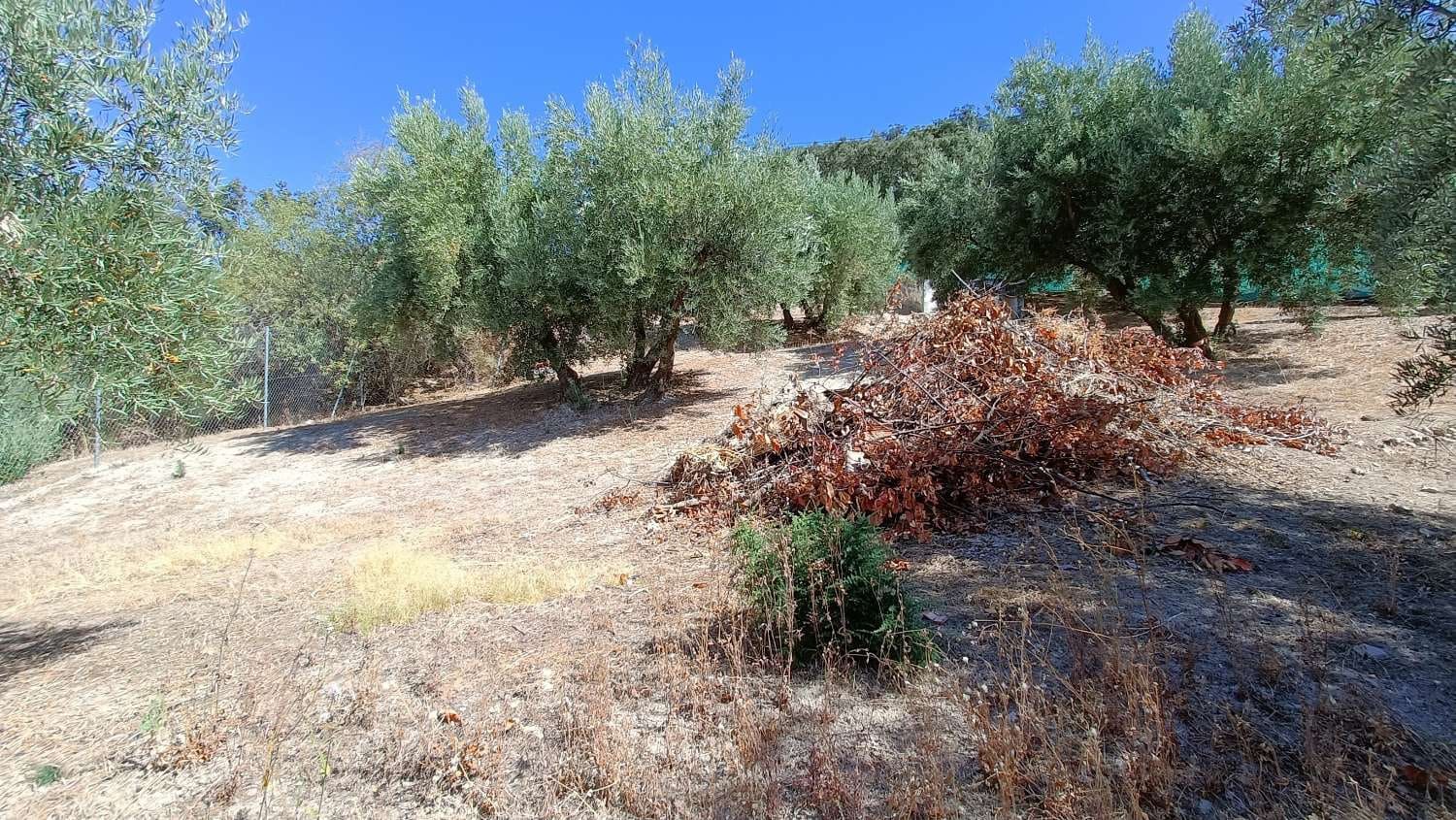 5 camera da letto Finca/Casa di Campagna in vendita in Montefrio con piscina - 210.000 € (Rif: 8480590)