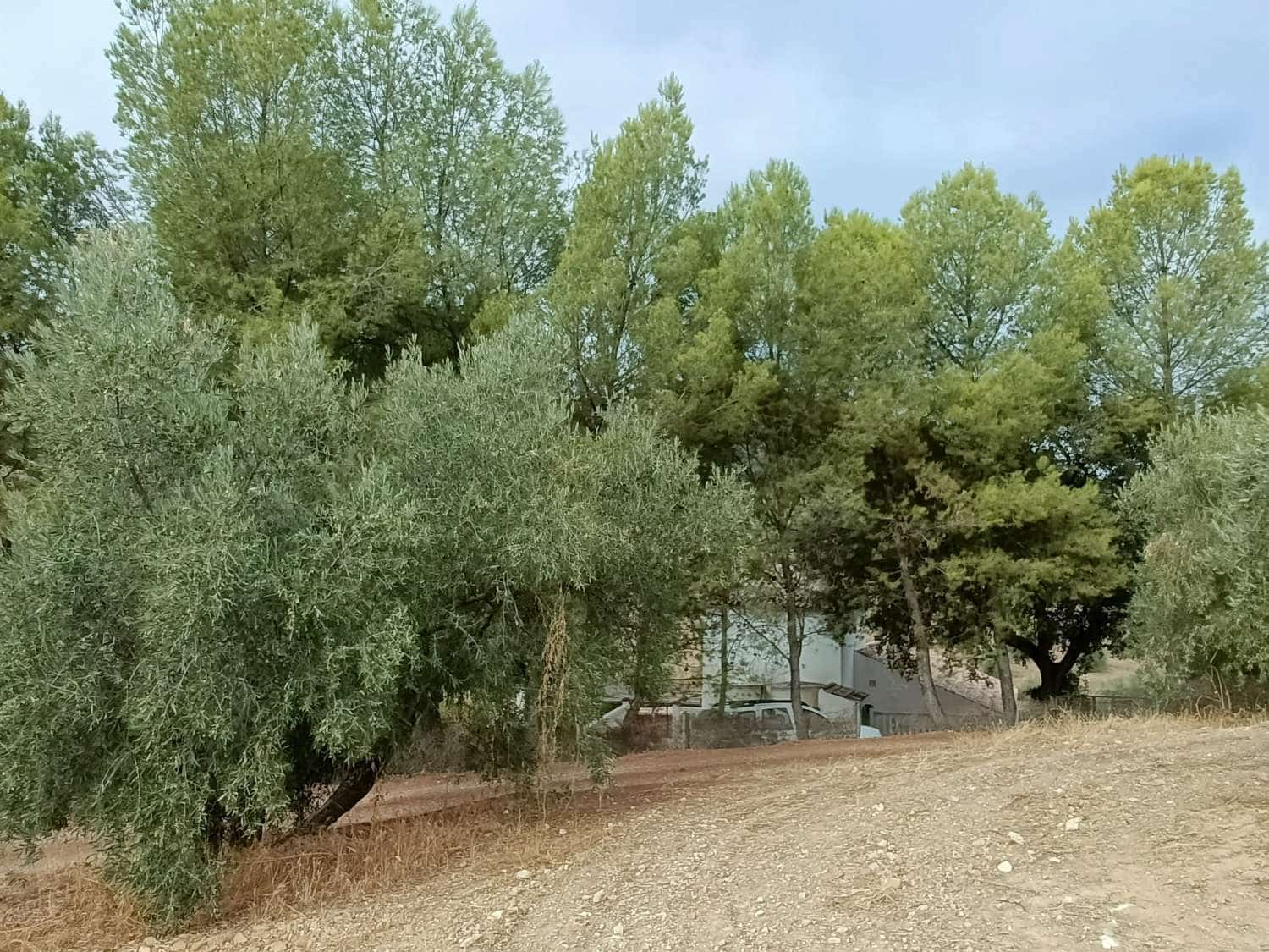 3 quarto Quinta/Casa Rural para venda em Loja com piscina - 199 950 € (Ref: 8561244)