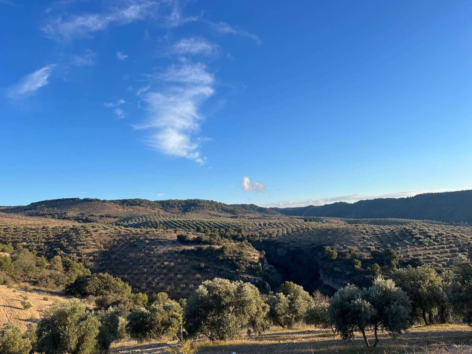 4 soveværelse Finca/Landehus til salg i Jayena - € 190.000 (Ref: 8656045)