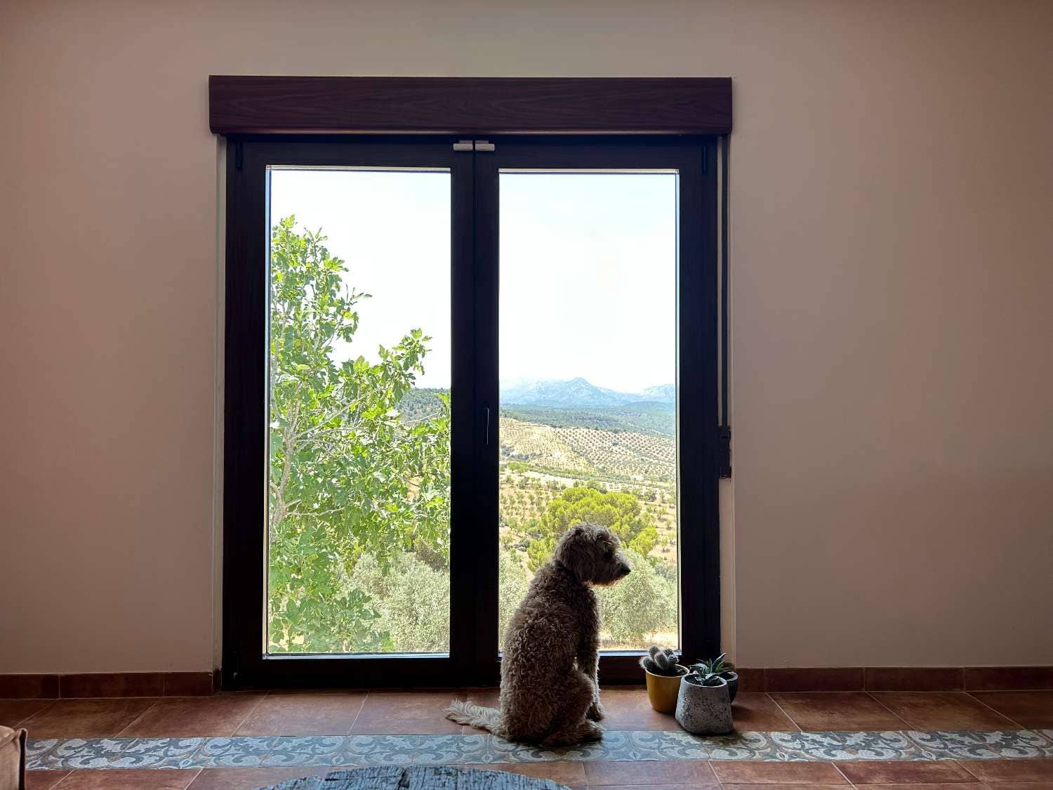 4 soveværelse Finca/Landehus til salg i Jayena - € 190.000 (Ref: 8656045)