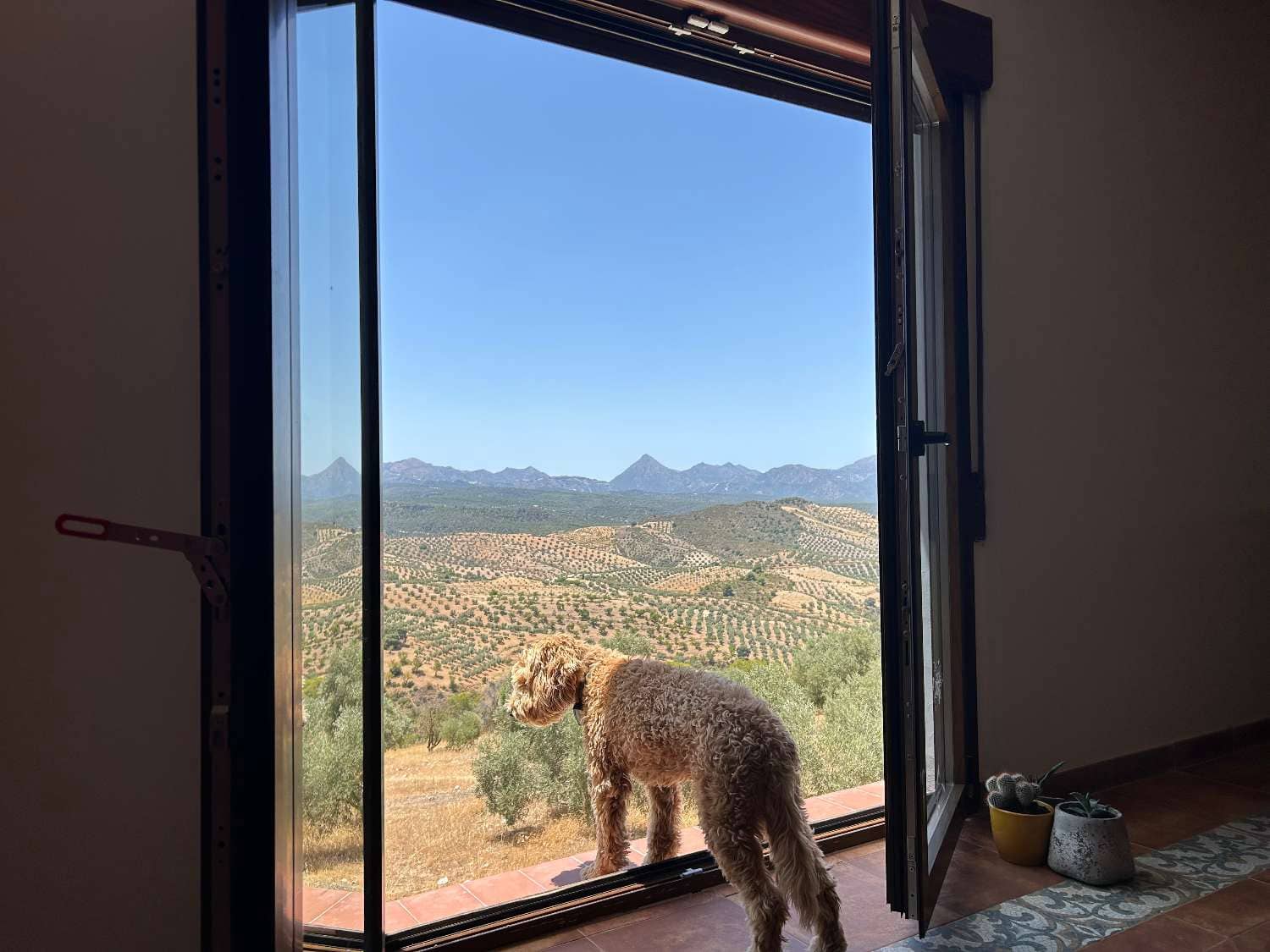 4 soveværelse Finca/Landehus til salg i Jayena - € 190.000 (Ref: 8656045)