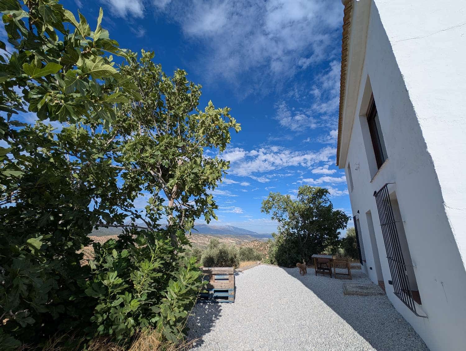 4 soveværelse Finca/Landehus til salg i Jayena - € 190.000 (Ref: 8656045)