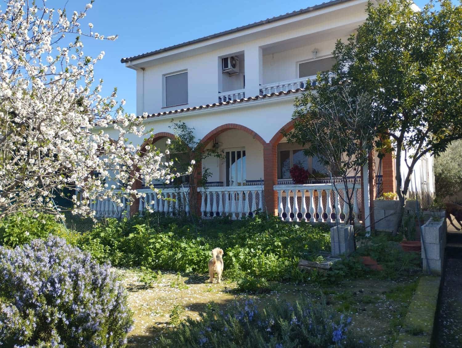 5 soveværelse Byhus til salg i Montefrio - € 275.000 (Ref: 9062091)