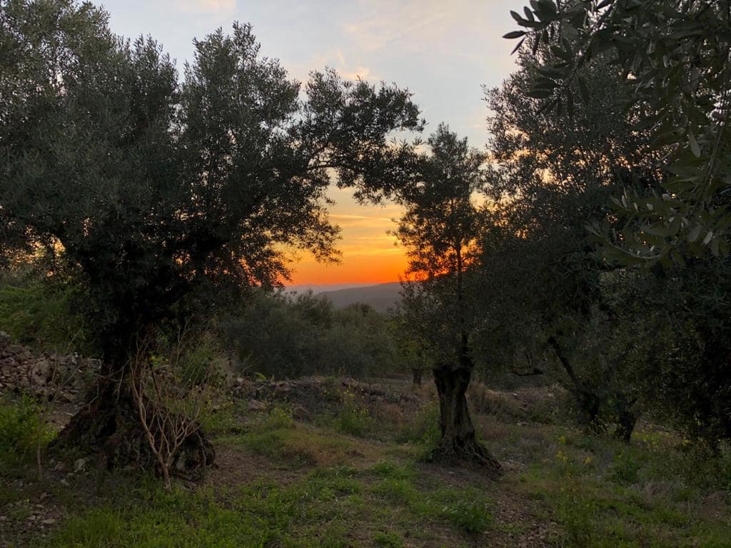 5 soveværelse Finca/Landehus til salg i Loja med swimmingpool - € 449.000 (Ref: 9130259)