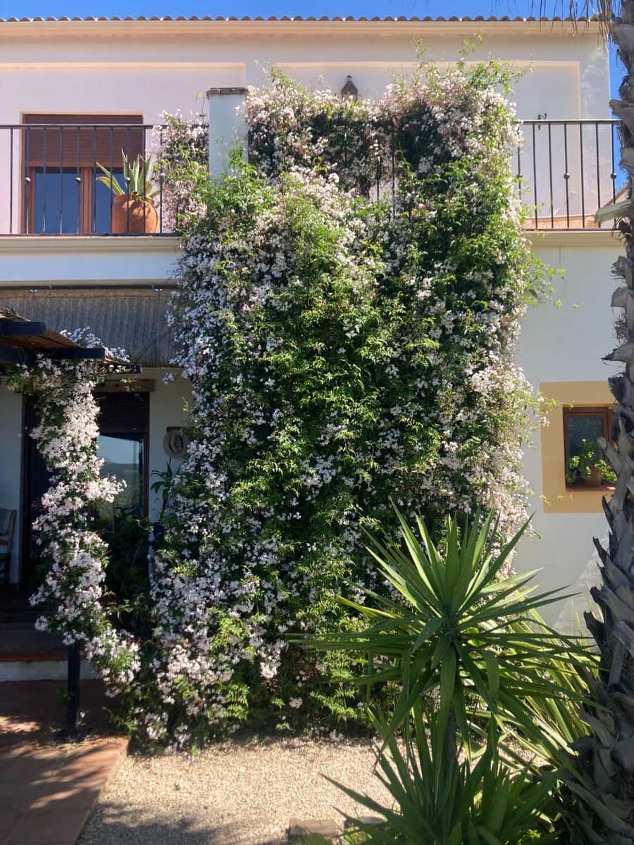 5 soveværelse Finca/Landehus til salg i Loja med swimmingpool - € 449.000 (Ref: 9130259)