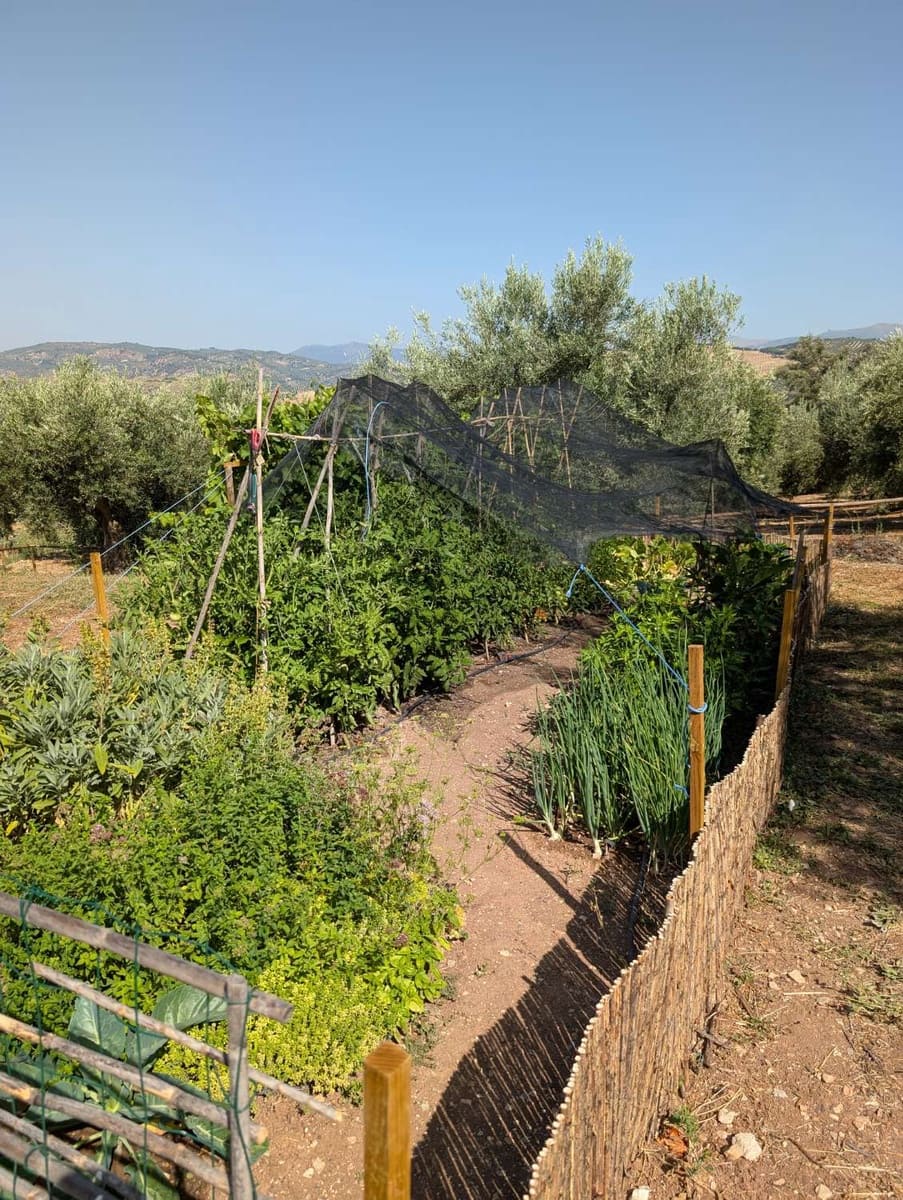 5 soveværelse Finca/Landehus til salg i Loja med swimmingpool - € 449.000 (Ref: 9130259)