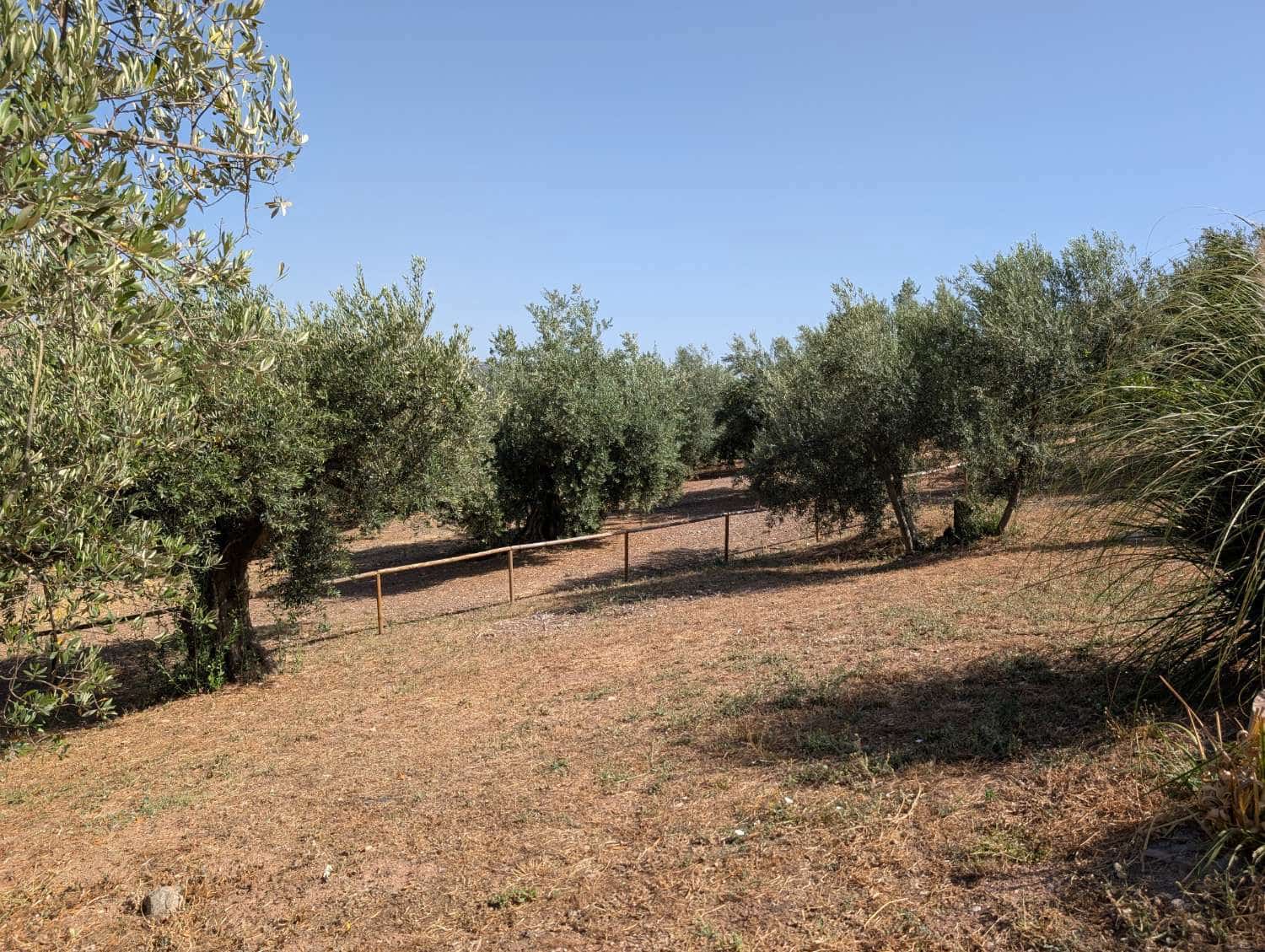 5 soveværelse Finca/Landehus til salg i Loja med swimmingpool - € 449.000 (Ref: 9130259)