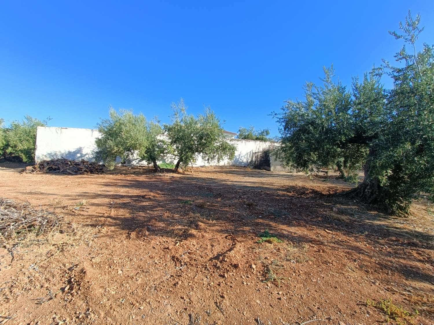 3 sovrum Finca/Hus på landet till salu i Loja - 195 000 € (Ref: 9294148)