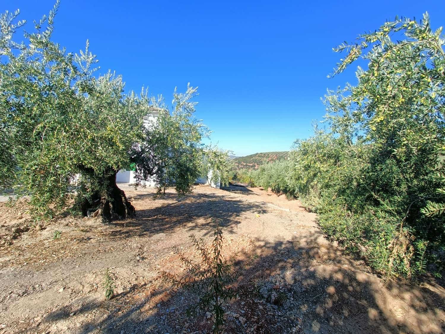 3 sovrum Finca/Hus på landet till salu i Loja - 195 000 € (Ref: 9294148)