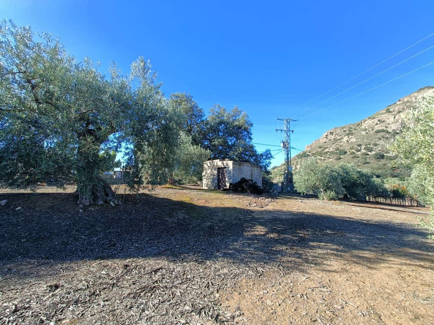 2 bedroom Townhouse for sale in Illora - € 225,000 (Ref: 9483411)