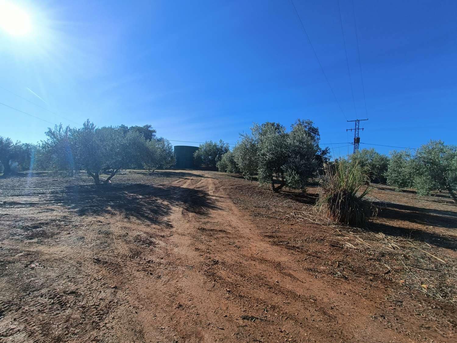 2 bedroom Townhouse for sale in Illora - € 225,000 (Ref: 9483411)