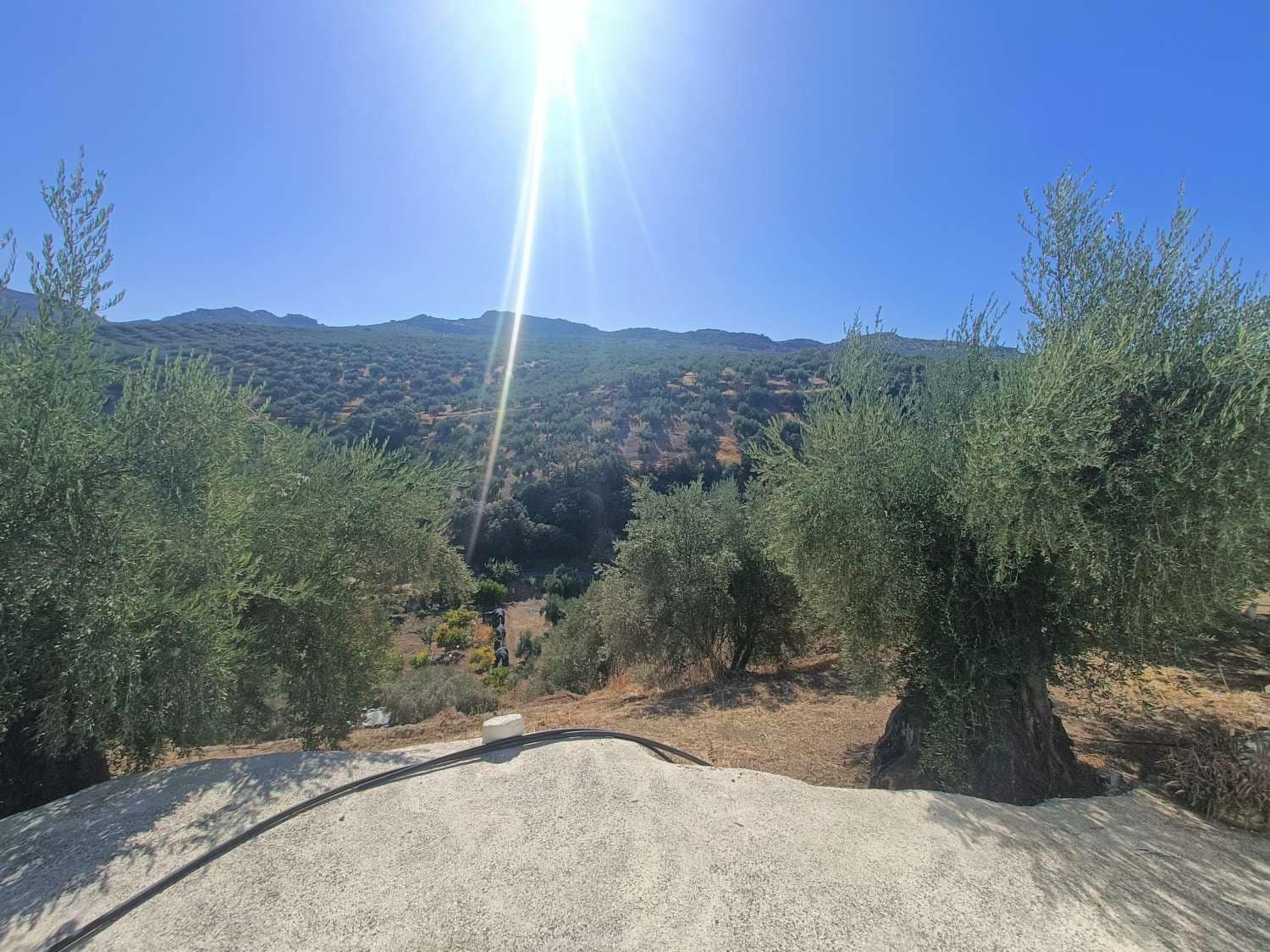 3 Zimmer Finca/Landgut zu verkaufen in Zagra - 120.000 € (Ref: 9570448)