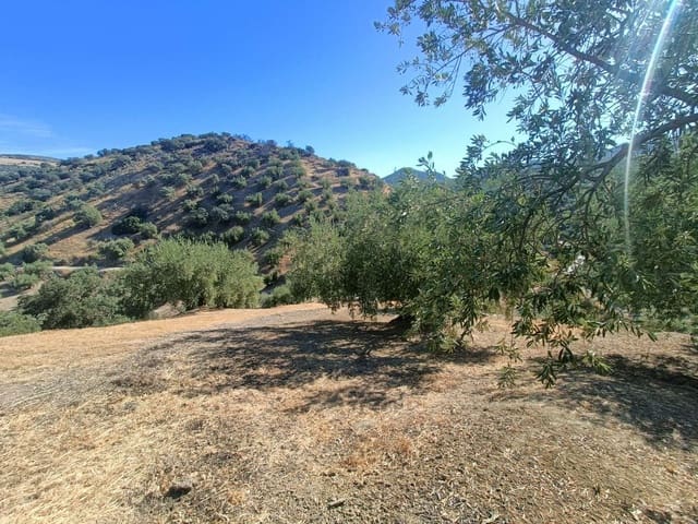 3 sovrum Finca/Hus på landet till salu i Zagra - 120 000 € (Ref: 9570448)