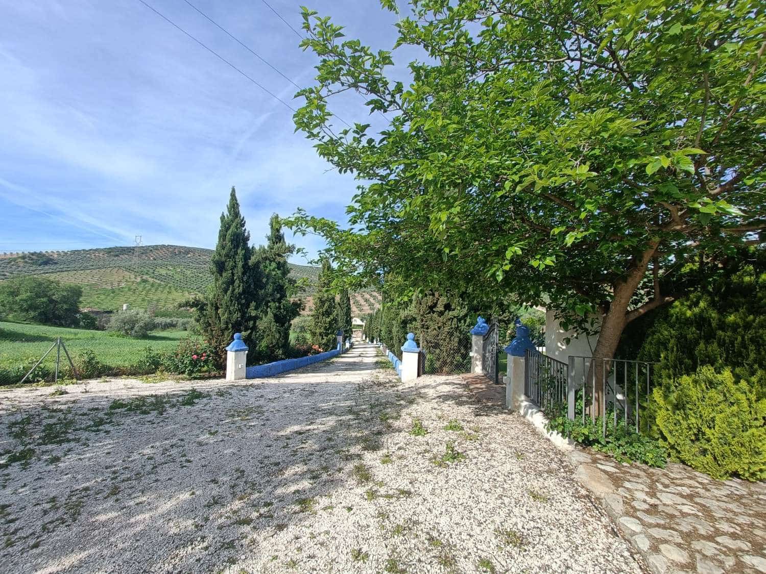 7 bedroom Finca/Country House for sale in Villanueva Mesia with pool - € 950,000 (Ref: 9793964)