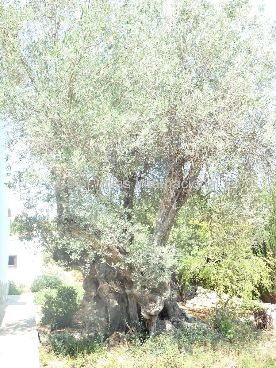 3 quarto Moradia para venda em Lliber com garagem - 599 000 € (Ref: 3486470)