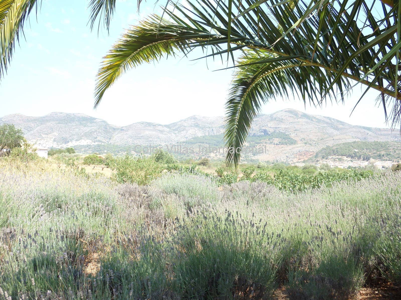 3 quarto Moradia para venda em Lliber com garagem - 599 000 € (Ref: 3486470)