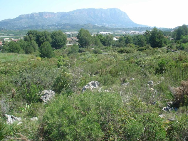 Solar/Parcela en Pedreguer en venta - 180.000 € (Ref: 3486689)