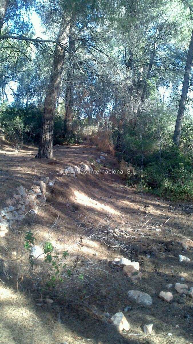 Building Plot for sale in Calpe / Calp - € 260,000 (Ref: 3486693)