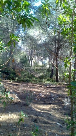 Building Plot for sale in Calpe / Calp - € 260,000 (Ref: 3486693)