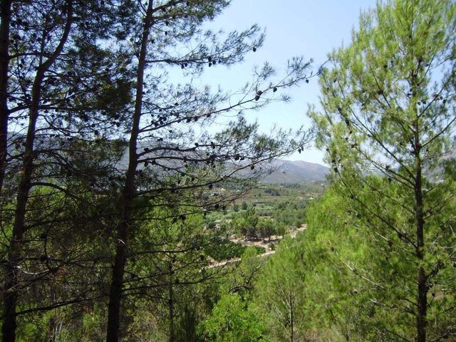 Byggegrund til salg i Alcalalí / Alcanalí - € 90.000 (Ref: 3486724)