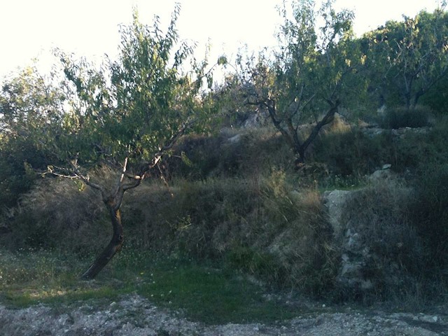 Undeveloped Land for sale in Benissa - € 170,000 (Ref: 3486726)