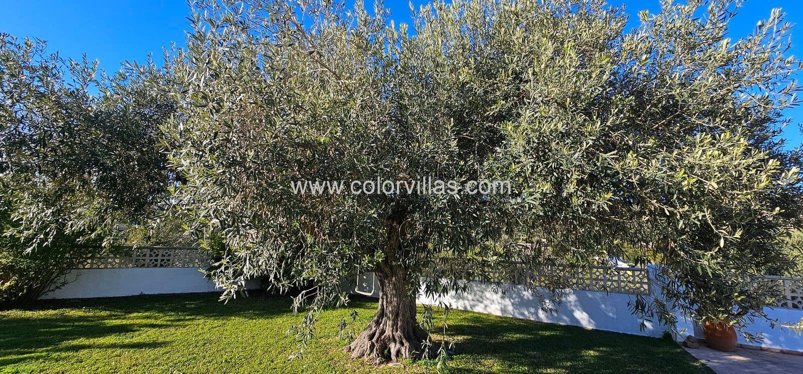 4 soveværelse Villa til salg i Benissa - € 639.000 (Ref: 9414627)