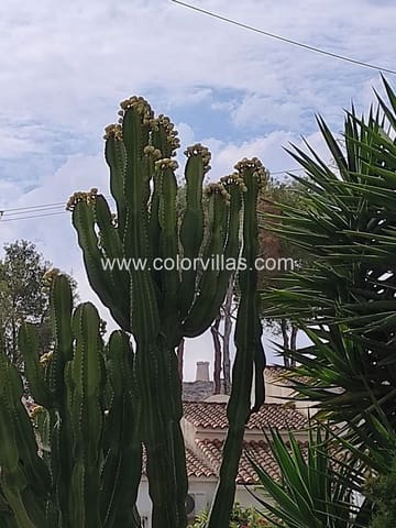 2 bedroom Bungalow for rent in Moraira, Teulada-Moraira - € 1,600 (Ref: 9414681)