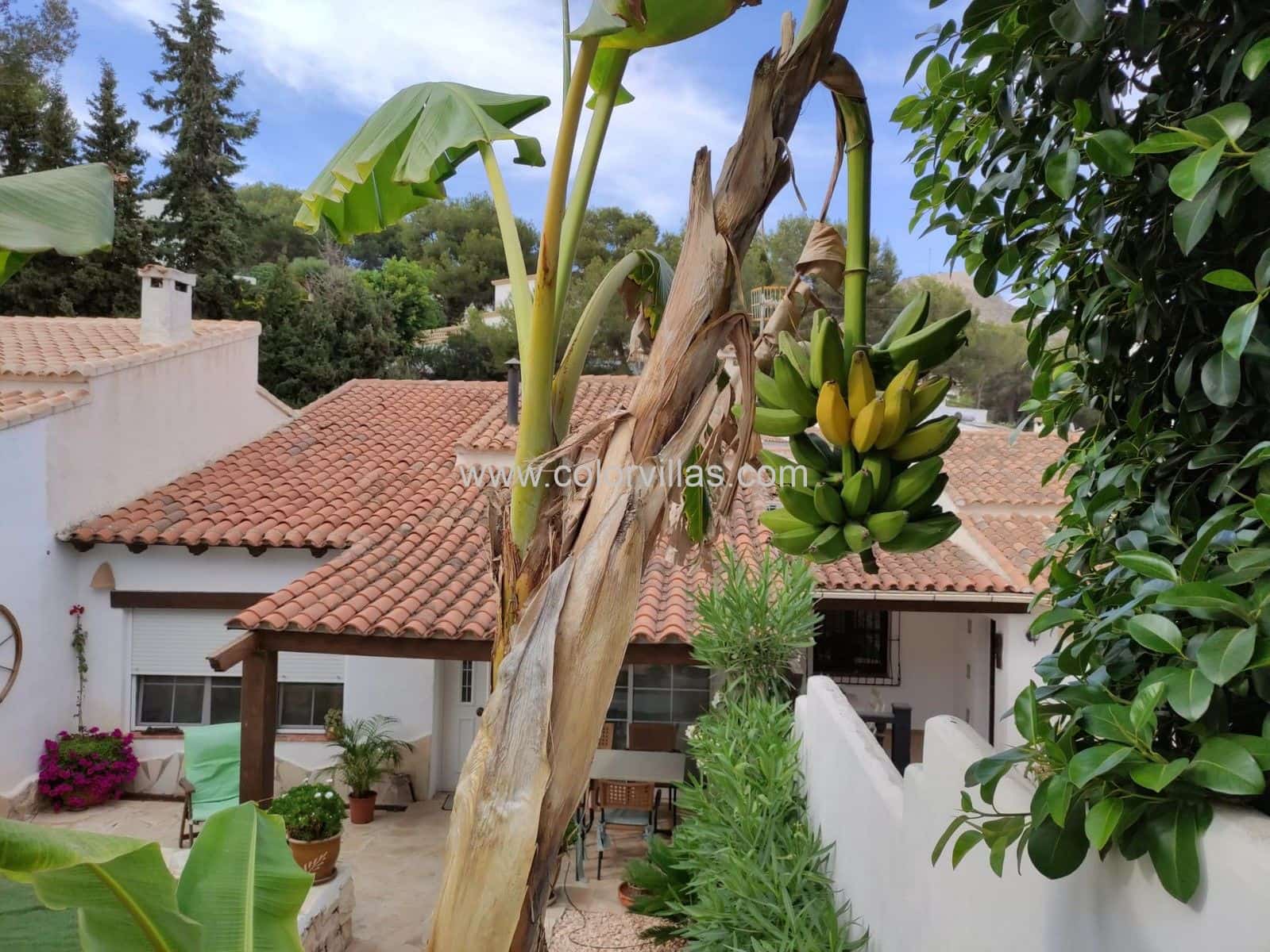 2 bedroom Bungalow for rent in Moraira - € 1,600 (Ref: 9414681)