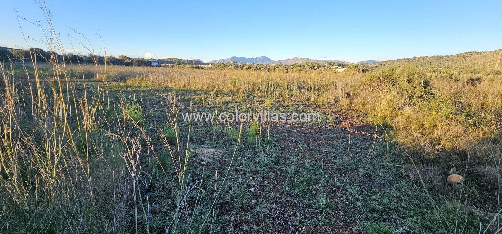 Undeveloped Land for sale in Teulada - € 42,000 (Ref: 9414756)