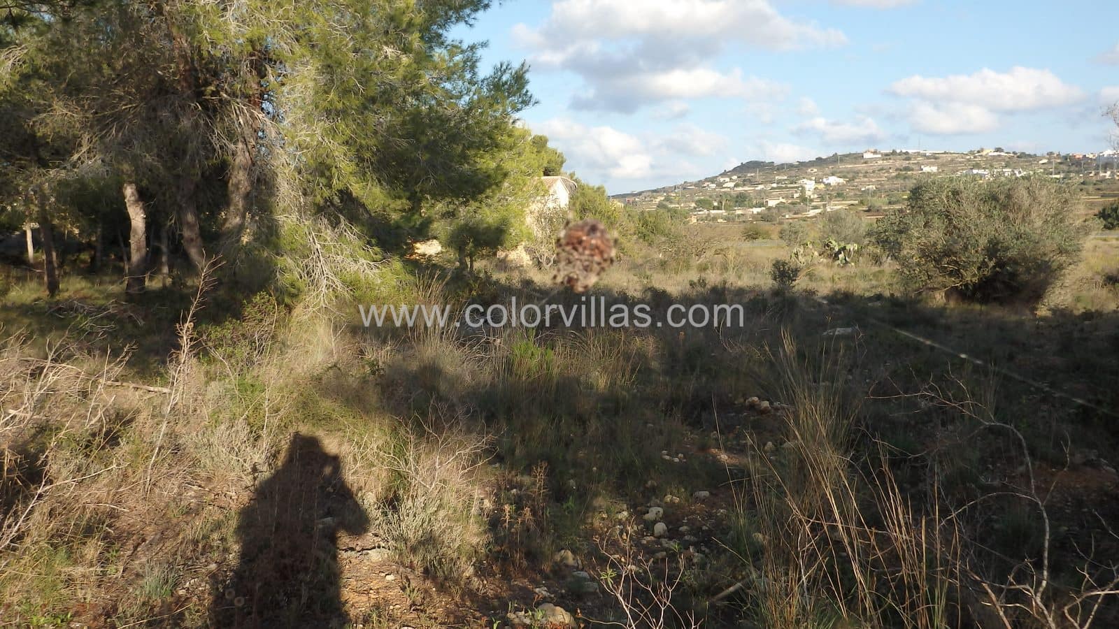 Finca/Herregård til salgs i Teulada - € 980 000 (Ref: 9414763)