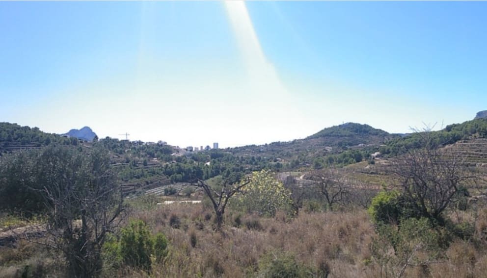 Building Plot for sale in Benissa - € 185,000 (Ref: 9414769)