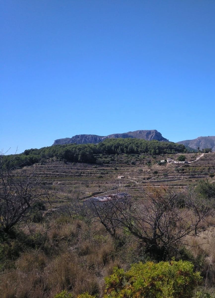 Building Plot for sale in Benissa - € 185,000 (Ref: 9414769)