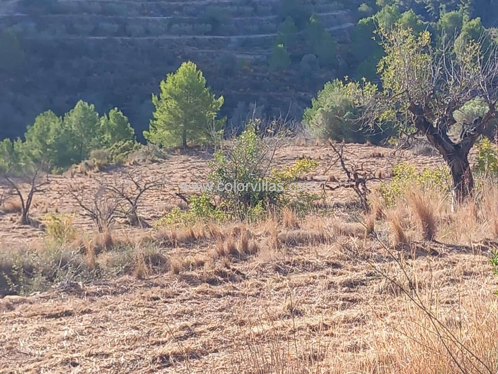 Terreno/Finca Rústica en Benissa en venta - 187.000 € (Ref: 9414770)