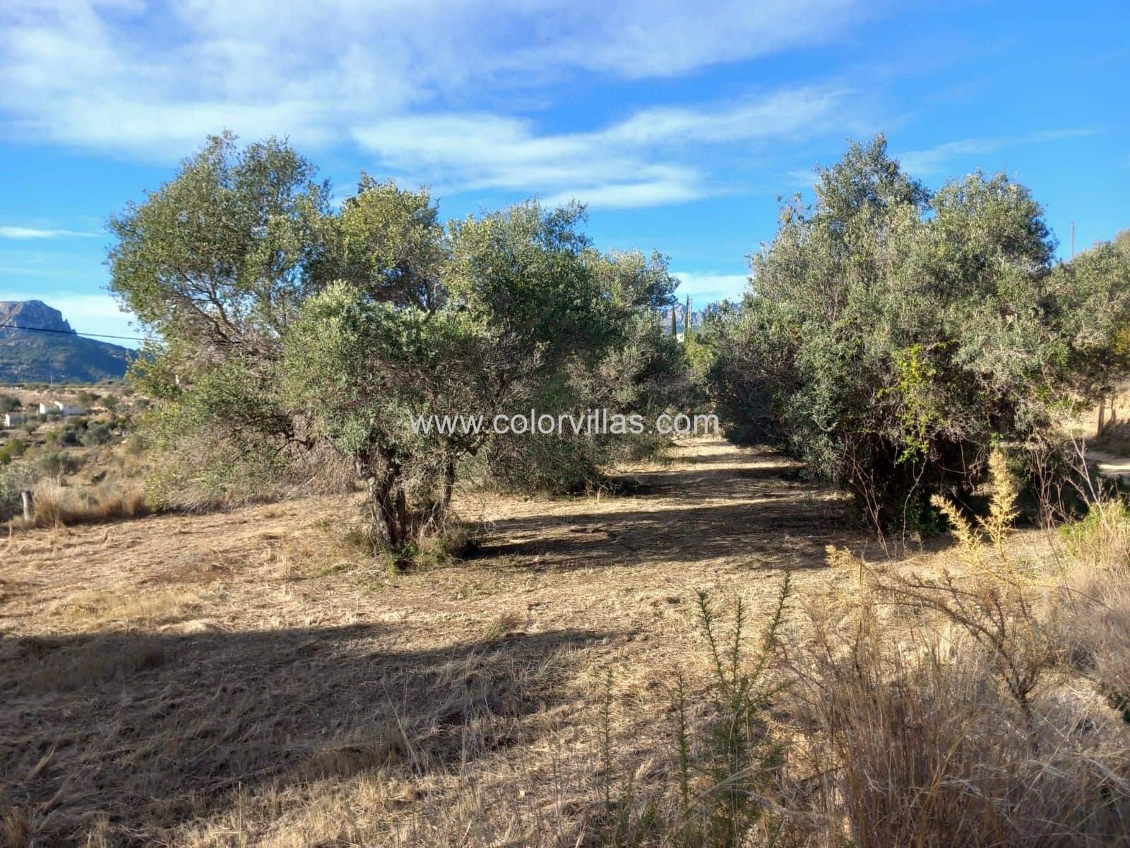 Terreno/Finca Rústica en Benissa en venta - 187.000 € (Ref: 9414770)