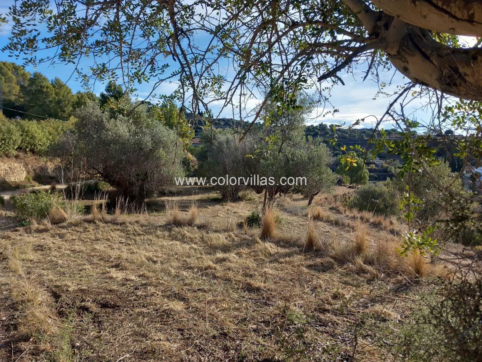 Terreno/Finca Rústica en Benissa en venta - 187.000 € (Ref: 9414770)