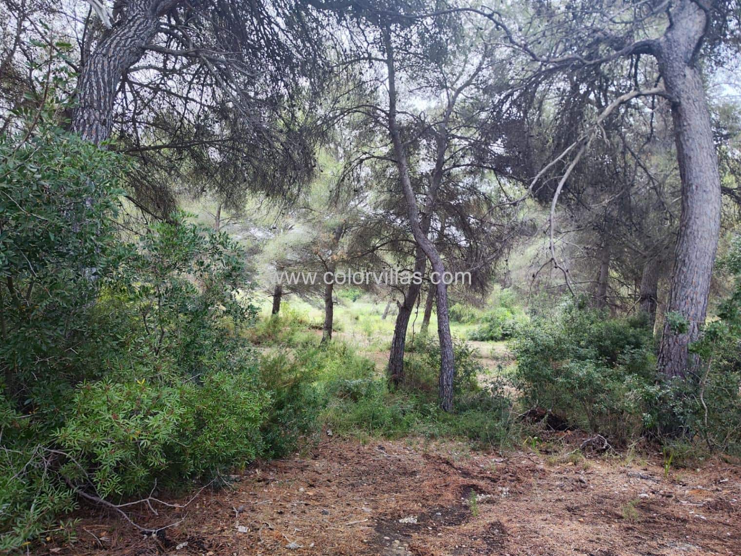 Building Plot for sale in Moraira - € 375,000 (Ref: 9414780)