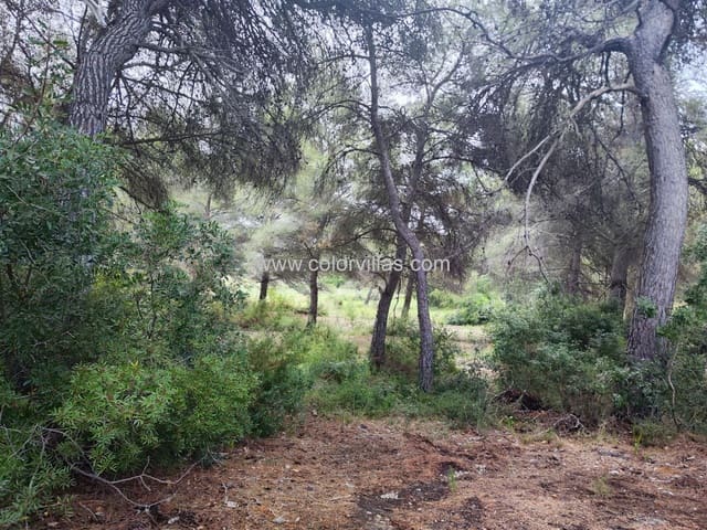 Byggetomt til salgs i Moraira, Teulada-Moraira - € 375 000 (Ref: 9414780)