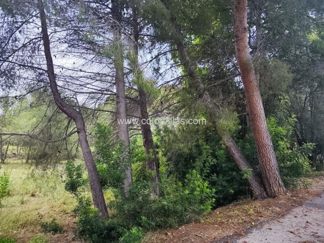 Byggetomt til salgs i Moraira, Teulada-Moraira - € 375 000 (Ref: 9414780)