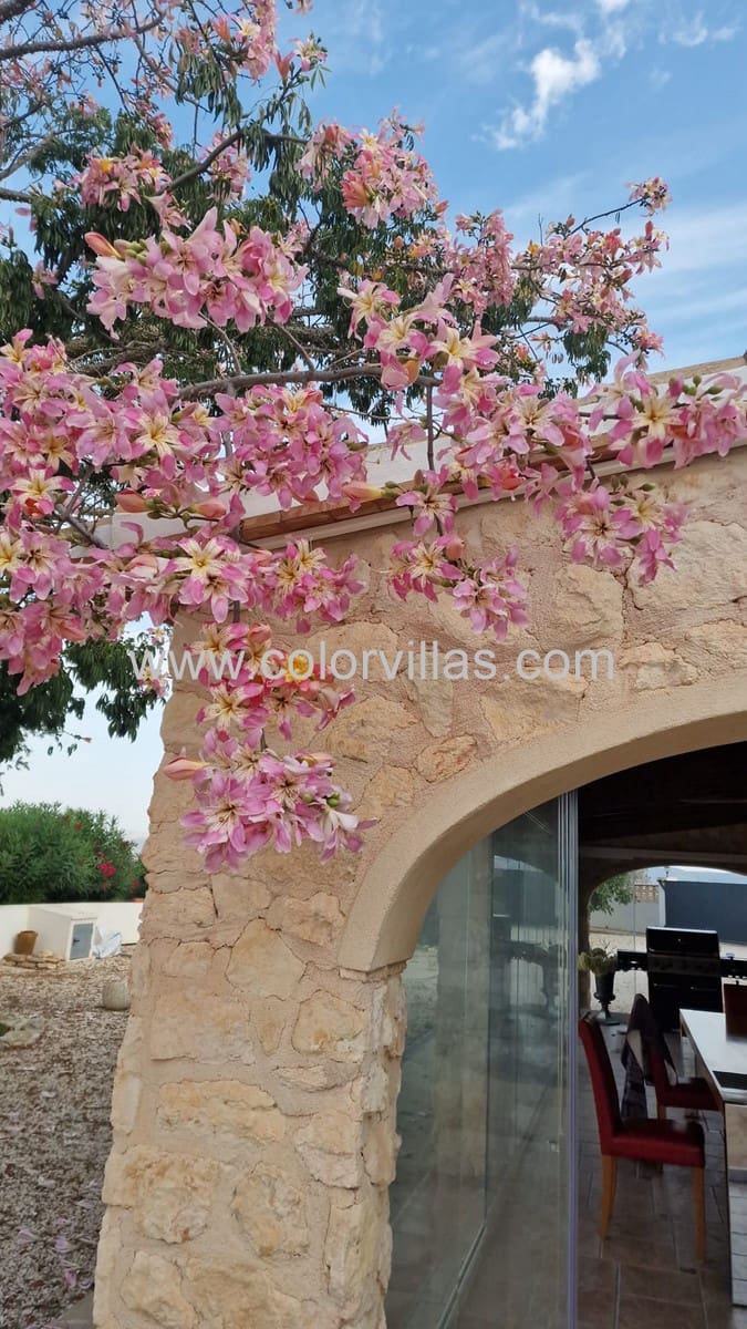 3 soveværelse Finca/Landehus til salg i Teulada - € 1.699.000 (Ref: 9759592)