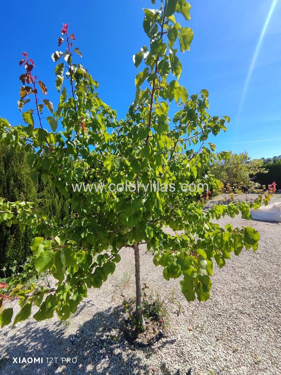 3 bedroom Finca/Country House for sale in Teulada with garage - € 1,490,000 (Ref: 9759592)