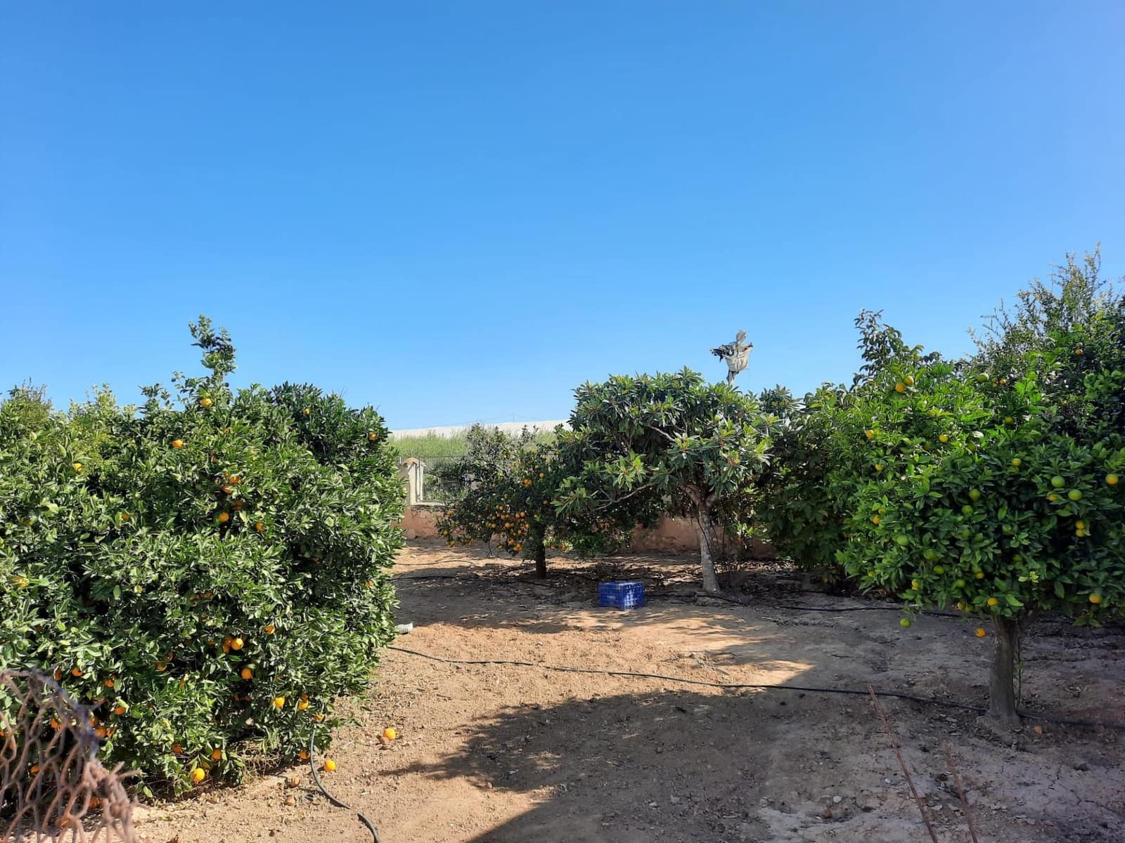 3 bedroom Villa for rent in Sucina - € 800 (Ref: 10075643)