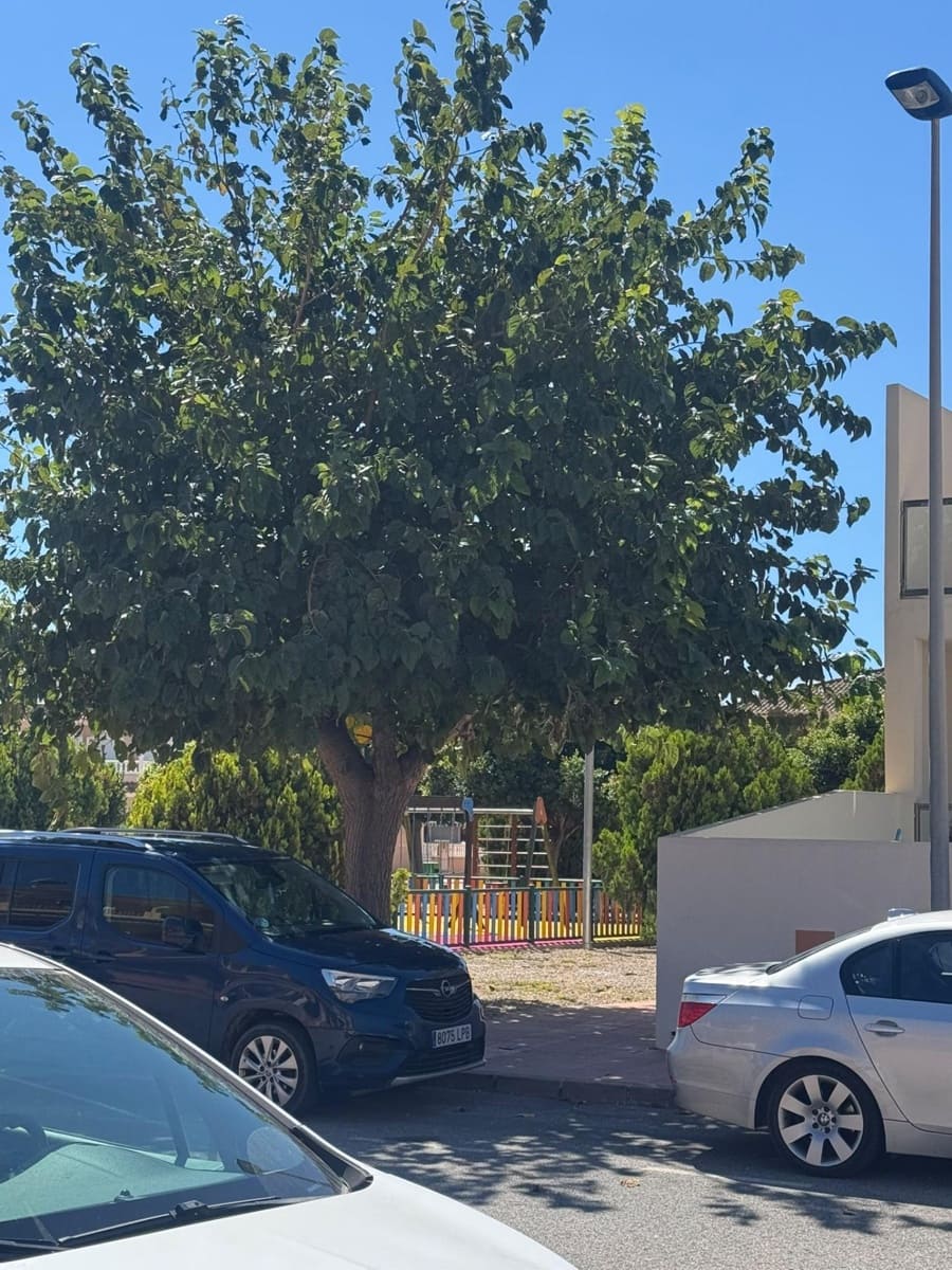 3 quarto Moradia em Banda para venda em Los Narejos com piscina garagem - 255 000 € (Ref: 10165031)