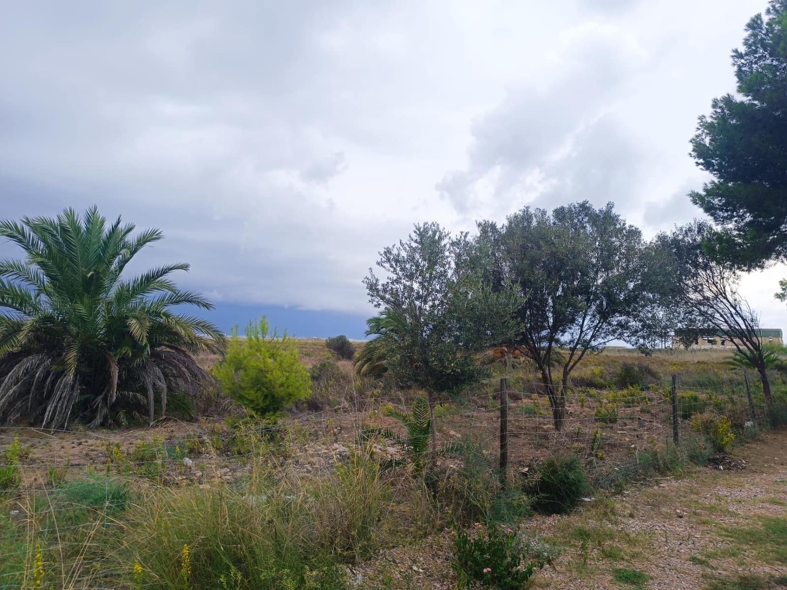 3 sypialnia Willa na sprzedaż w El Carmoli - 244 900 € (Ref: 9300993)