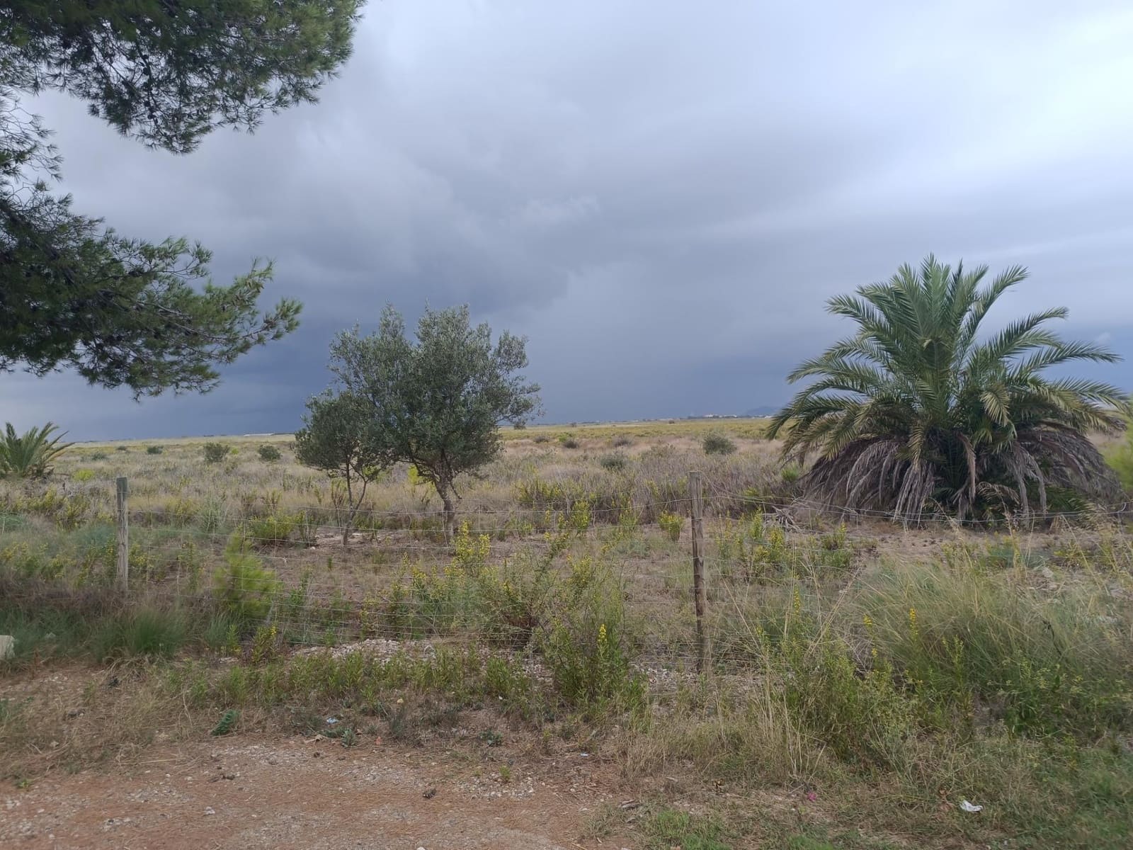 3 sypialnia Willa na sprzedaż w El Carmoli - 244 900 € (Ref: 9300993)