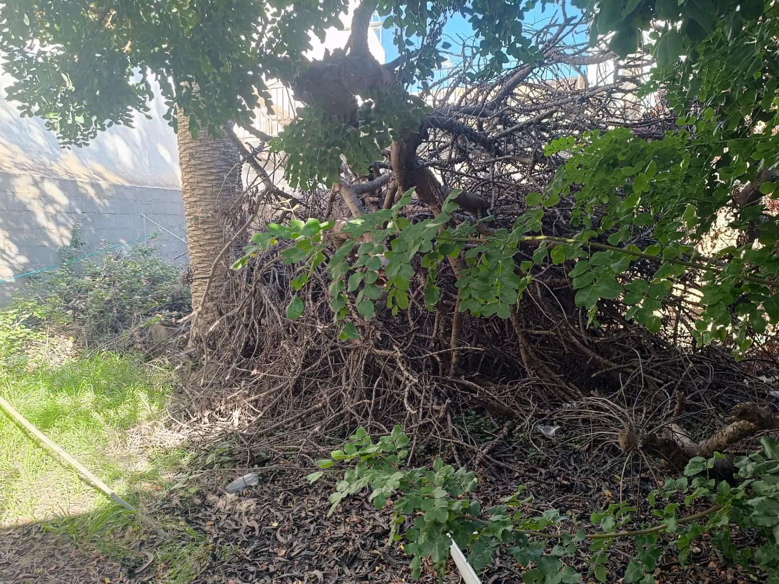 5 sypialnia Dom na sprzedaż w Los Alcazares - 139 900 € (Ref: 9403320)